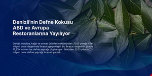 Denizli'nin Defne Kokusu ABD ve Avrupa Restoranlarına Yayılıyor