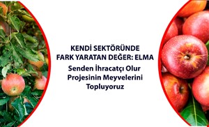 Kendi Sektöründe Fark Yaratan Değer: Elma