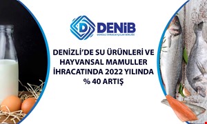Denizli'de Su Ürünleri ve Hayvansal Mamuller İhracatında 2022'de Yüzde 40 Artış